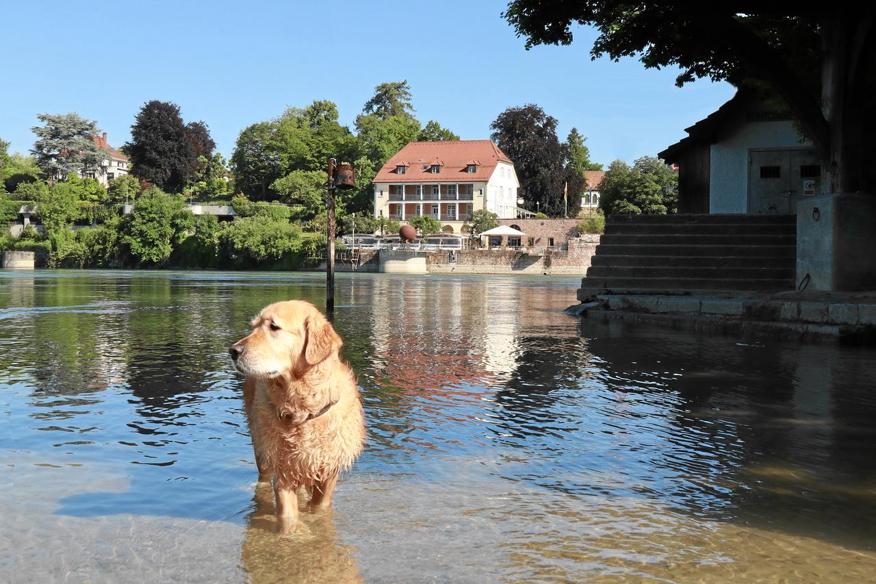 Hotel Danner Rheinfelden  Bagian luar foto